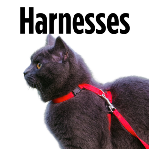 Cat Harnesses