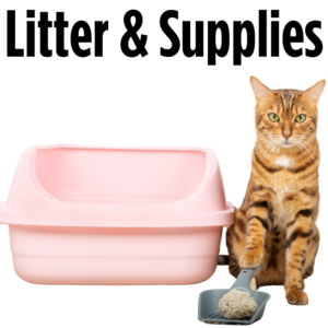 Cat Litter and Supplies