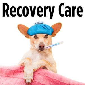 Recovery Care