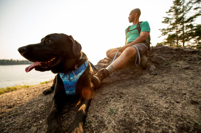 Ruffwear Front Range Harness - Image 4