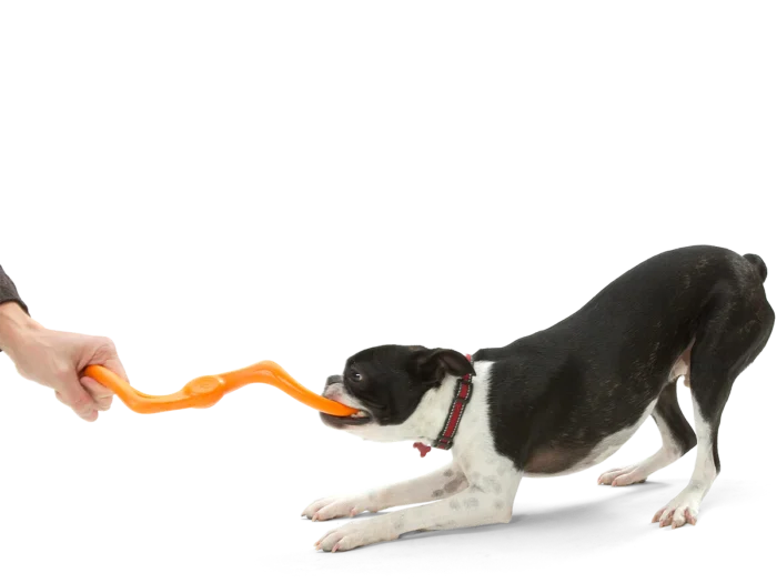 West Paw Dog Toy – Bumi - Image 3