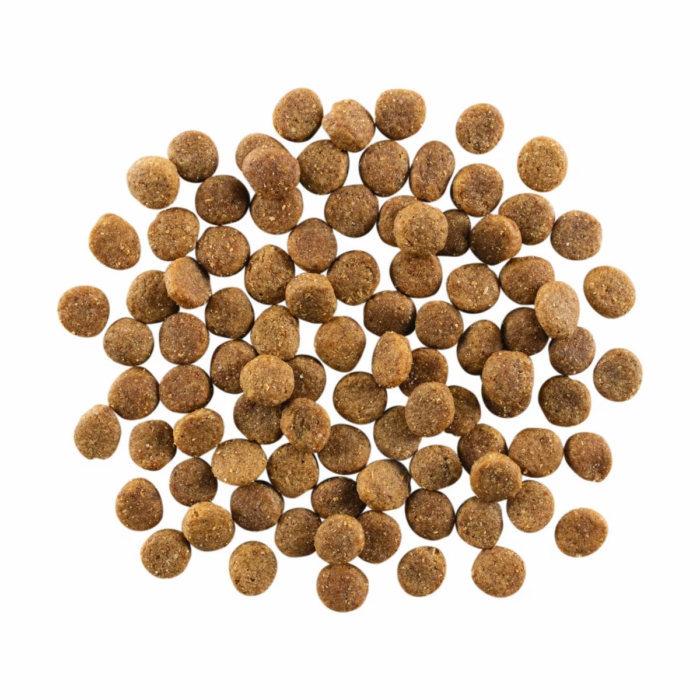 Go! Solutions Dog Food – Skin and Coat Salmon with Grains - Image 2