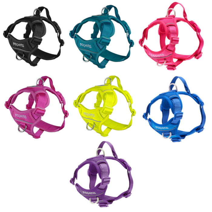 RC Pets Momentum Harness