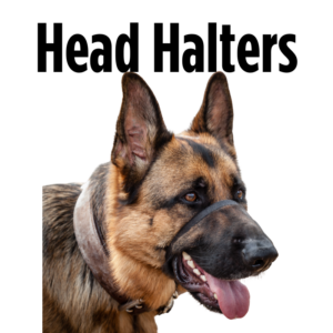 Head Halters
