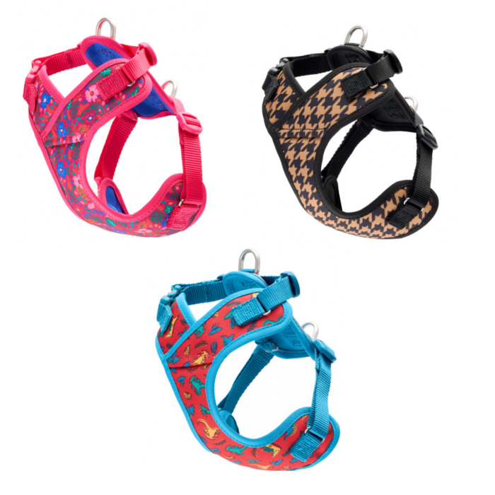 RC Pets Petite Explorer Harness