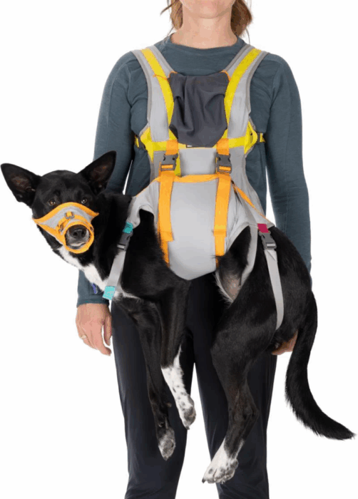 Ruffwear Dog Evacuation Kit