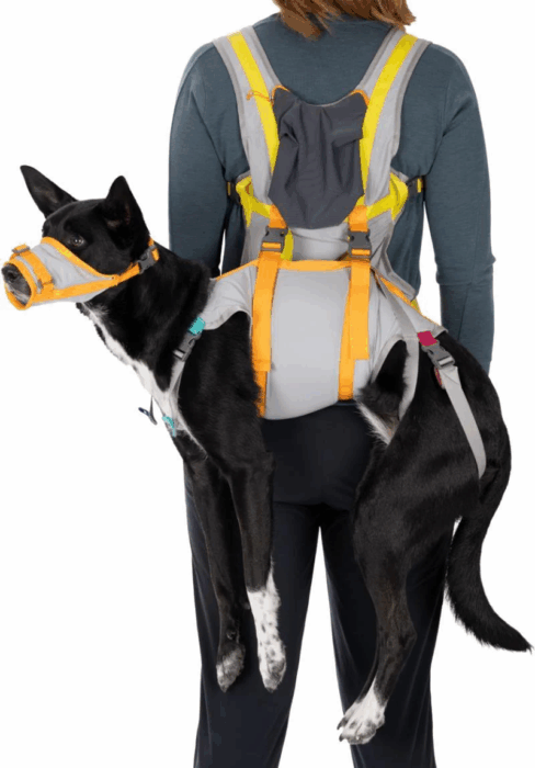 Ruffwear Dog Evacuation Kit - Image 3