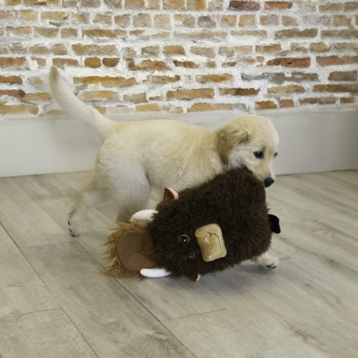 Kong Comfort Highland Cow Jumbo - Image 4