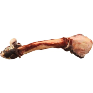 K9 Choice Kangaroo Leg Bone