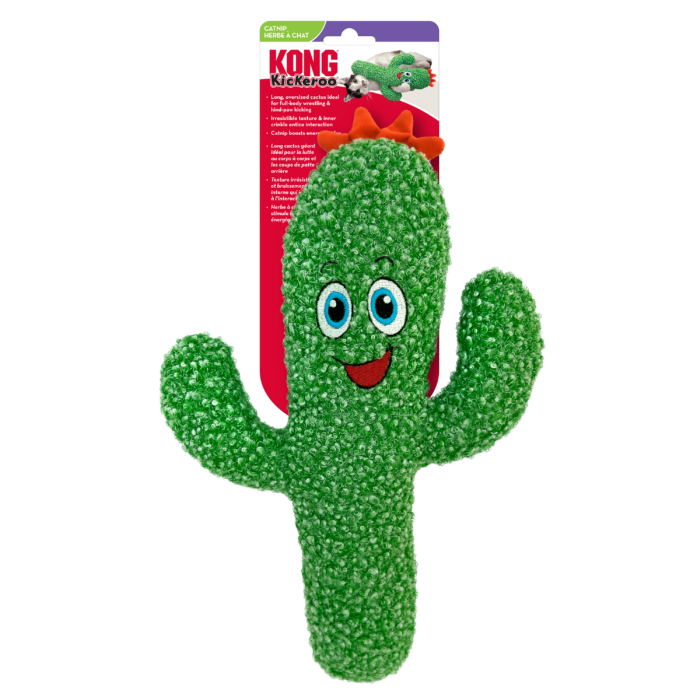 Kong Kickeroo Cactus