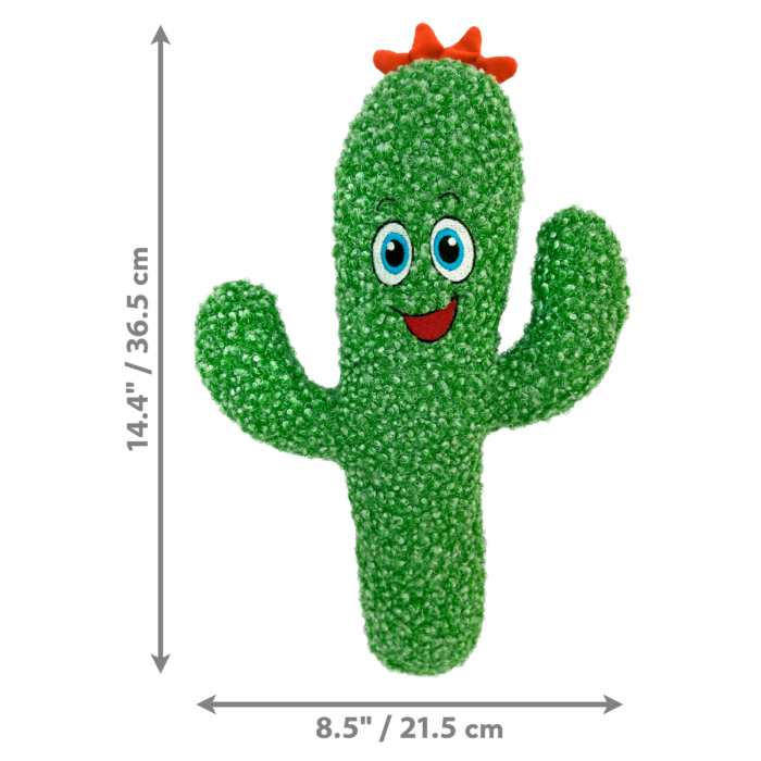 Kong Kickeroo Cactus - Image 2