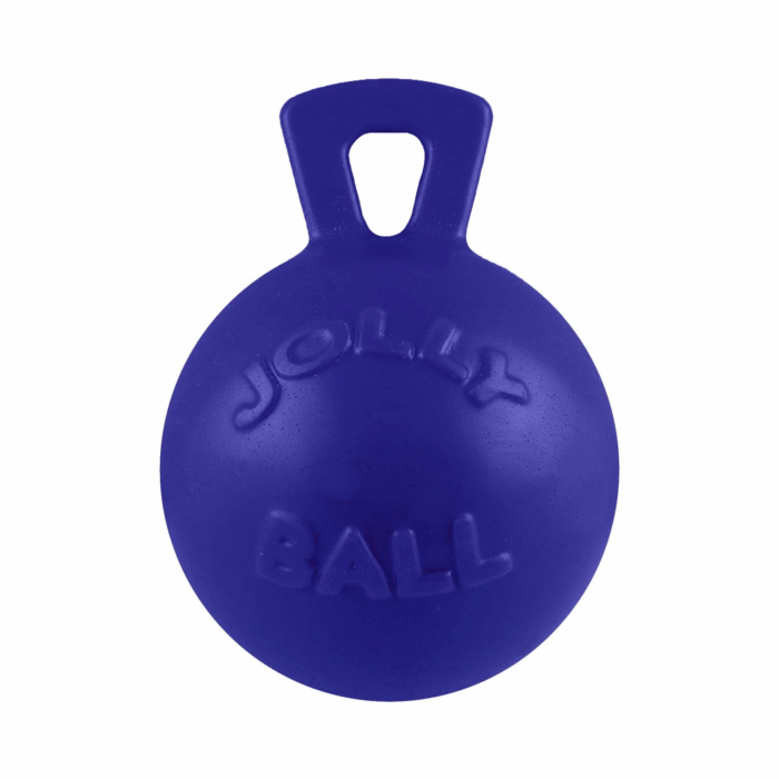 Jol Tug and Toss 10`` purple