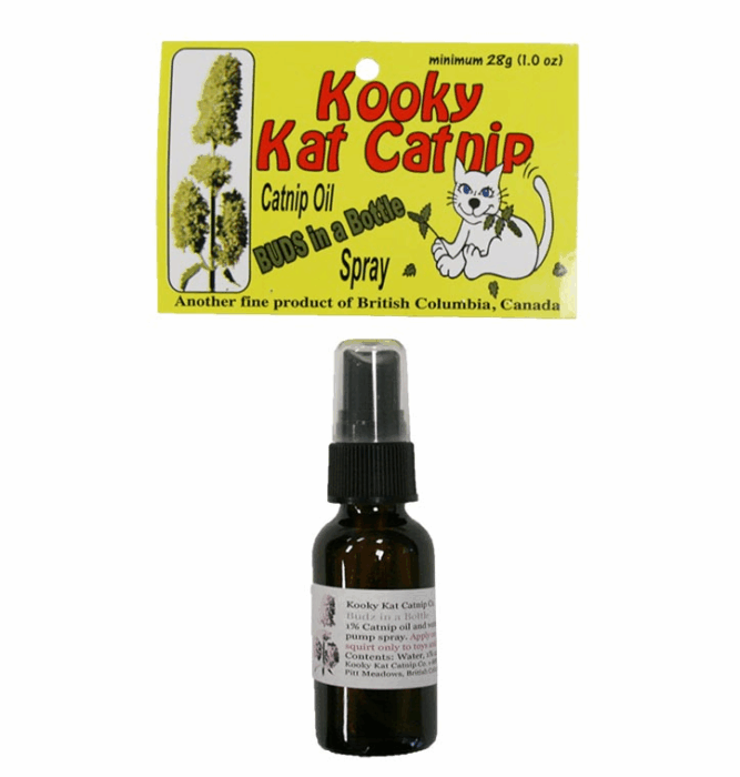 Kooky Catnip Oil - Budz in a Bottle - 28ml