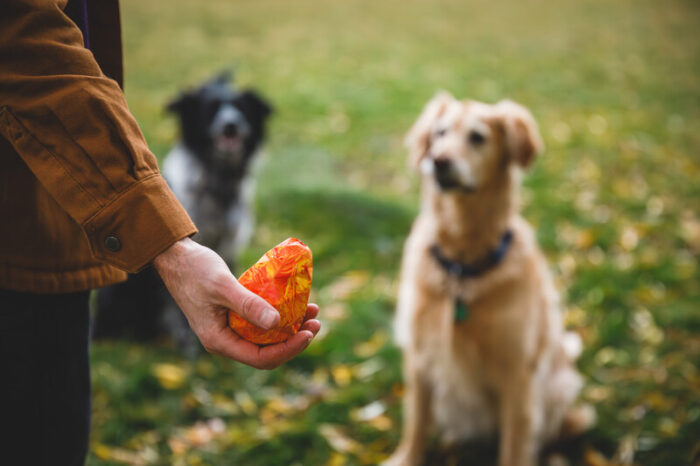 Ruffwear Gnawt-a-Cone Dog Toy - Image 2