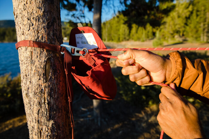 Ruffwear Knot-A-Hitch Dog Hitching System - Red Clay - Image 4