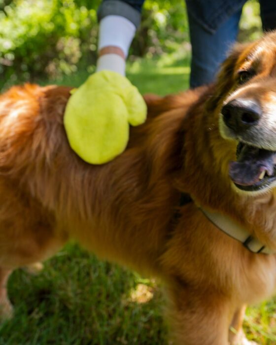 TiCK MiTT - Image 3
