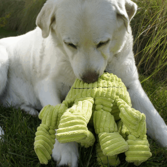HuggleHounds Octavie Octopus Dog Toy - Large - Image 2